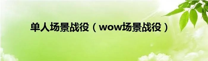单人场景战役（wow场景战役）