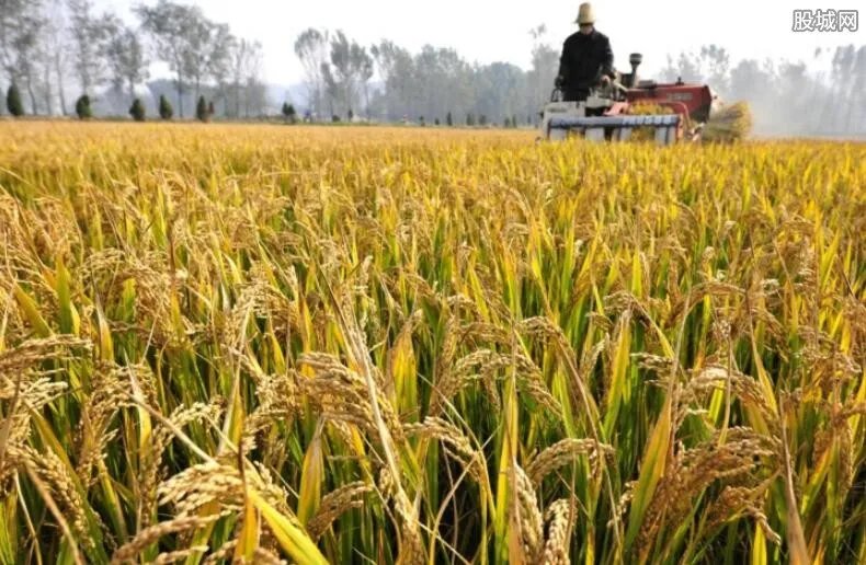 2020年粮食将暴涨？ 商务部最新回应来了！