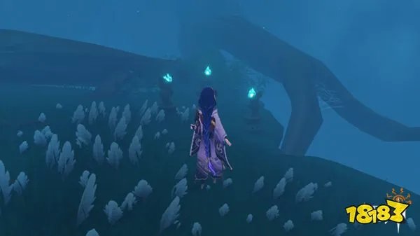 原神鹤观岛迷雾解除方法 最详细鹤观岛迷雾解密攻略