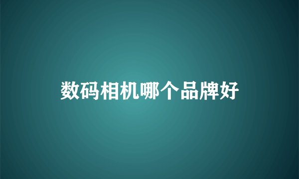 数码相机哪个品牌好