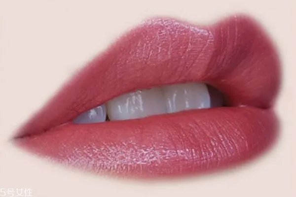 蜜丝佛陀魅惑润泽修护唇膏哪个颜色好看