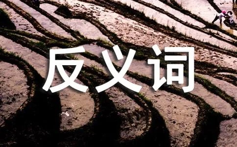 稀罕的反义词是什么