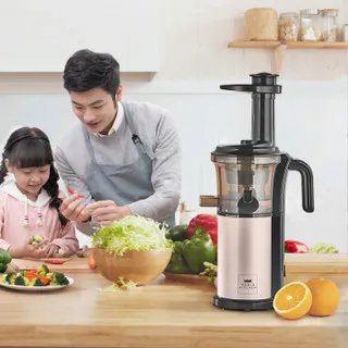 多功能果汁机价格