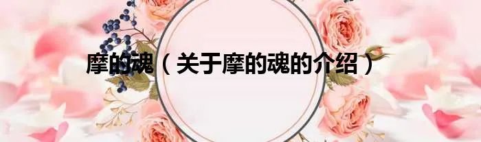 摩的魂（关于摩的魂的介绍）