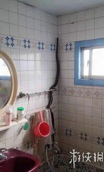 巨蛇伪装成莲蓬头吓死宝宝了！动物界的15大