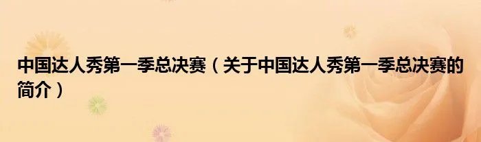中国达人秀第一季总决赛（关于中国达人秀第一季总决赛的简介）