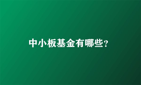 中小板基金有哪些？