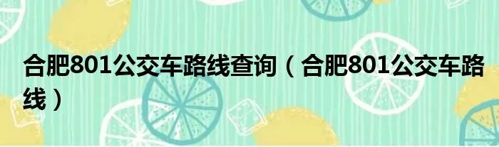 合肥801公交车路线查询（合肥801公交车路线）