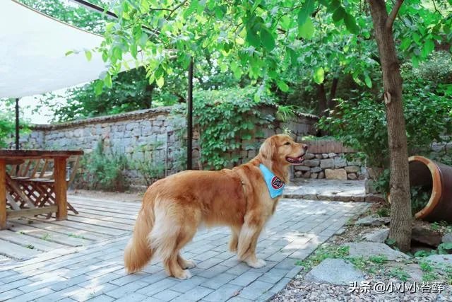 夏天去哪里旅游比较好？