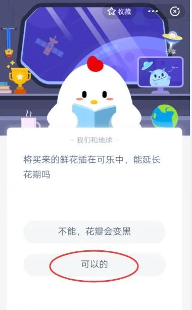 将买来的鲜花插在可乐中，能延长花期吗