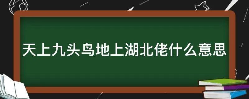 天上九头鸟地上湖北佬什么意思