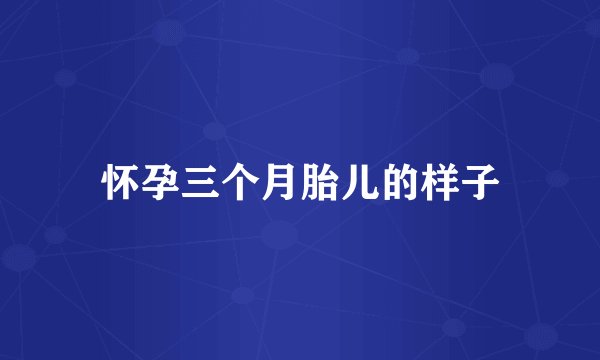怀孕三个月胎儿的样子