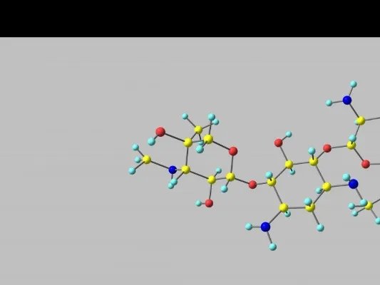 氨苄西林颗粒的不良反应