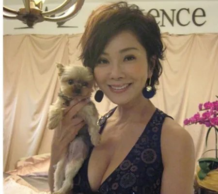 陈美凤老公是谁？ 因隐婚九年公开道歉