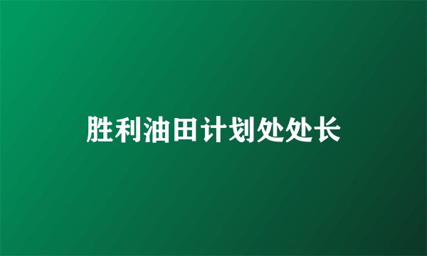 胜利油田计划处处长