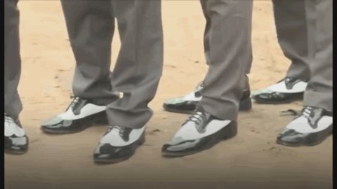 黑哥一笑生死难料是什么梗 抖音黑哥一笑生死难料表情包大全