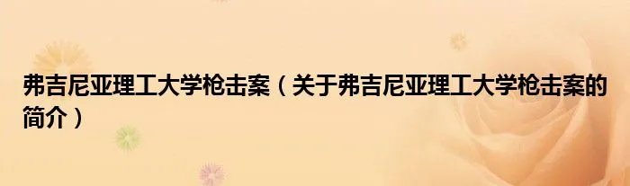 弗吉尼亚理工大学枪击案（关于弗吉尼亚理工大学枪击案的简介）