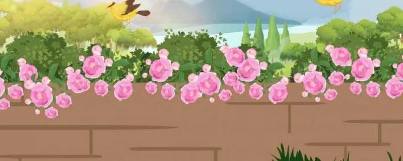 qq列表分组名称简单 qq分组名称简单干净