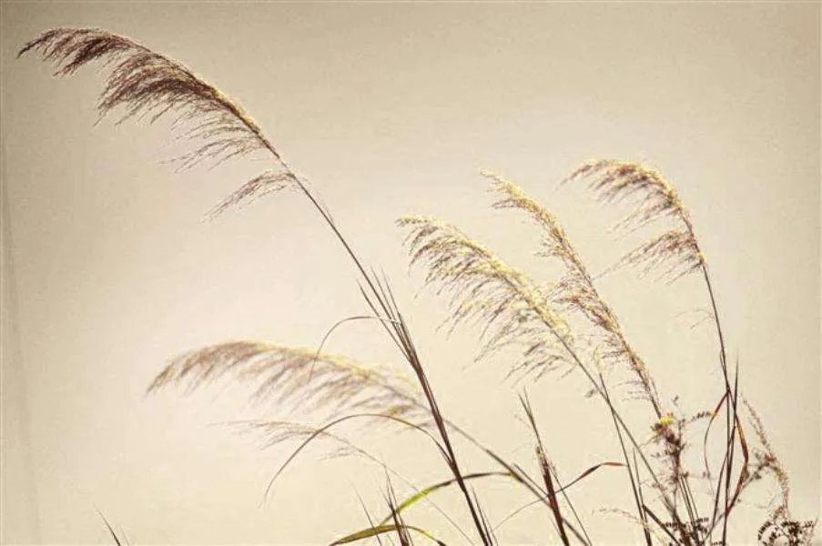 男子发文称被副局长锁在家中殴打，两人有何过节？