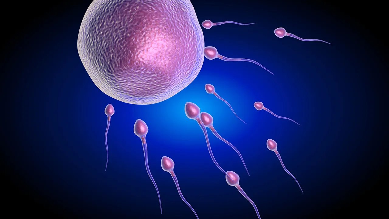 男性40岁后容易出现的6大健康风险必须注意！