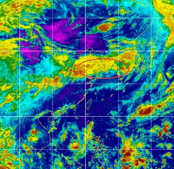 台风路径实时发布系统2020四号台风云图 台风黑格比最新卫星云图