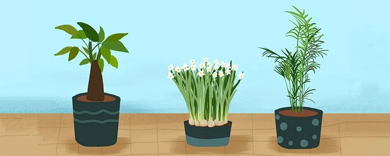 水仙不开花歇后语 水仙不开花的歇后语下一句是什么