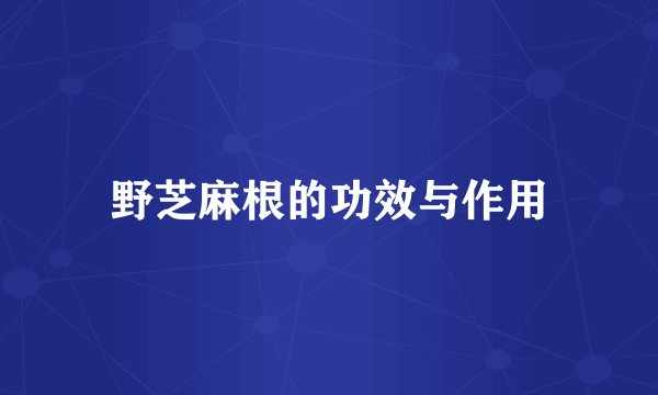野芝麻根的功效与作用