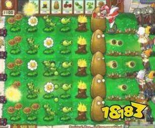 植物大战僵尸坚果愈合术怎么用 植物大战僵尸坚果愈合术用法