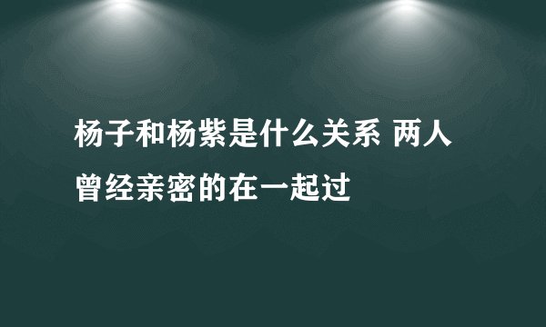 杨子和杨紫是什么关系 两人曾经亲密的在一起过