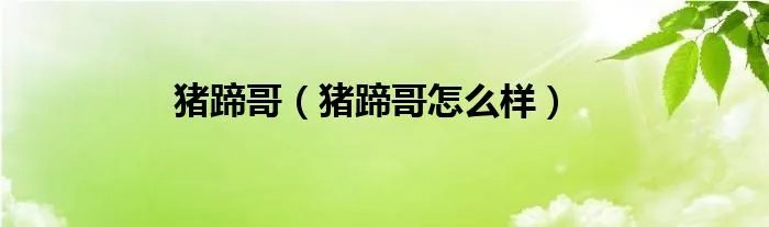 猪蹄哥（猪蹄哥怎么样）