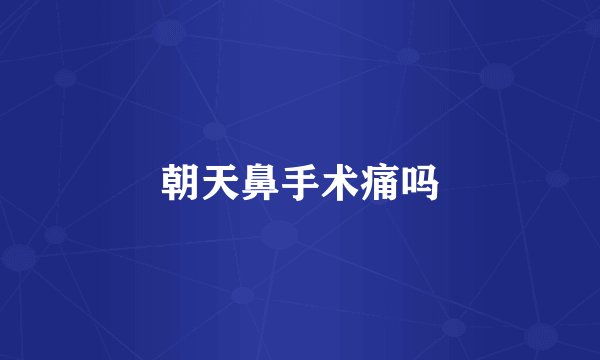 朝天鼻手术痛吗