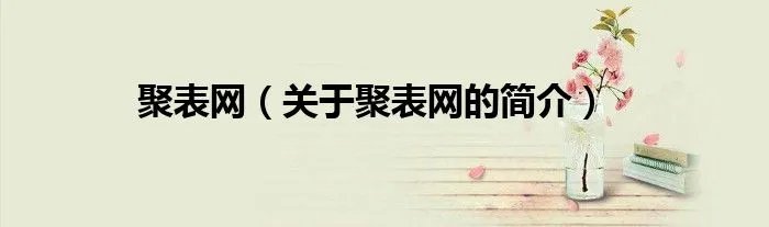 聚表网（关于聚表网的简介）