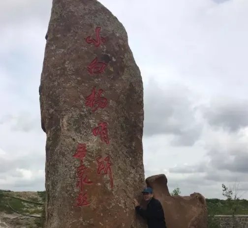 小白杨事件到底发生了什么