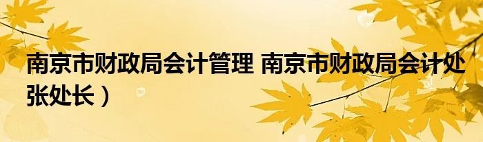 南京市财政局会计管理 南京市财政局会计处张处长）
