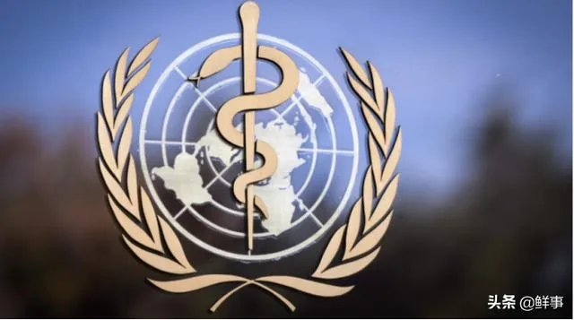 美国正式提出退出世卫组织,意味着什么,世界抗疫会出现怎样的结果?