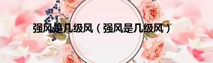 强风是几级风（强风是几级风）