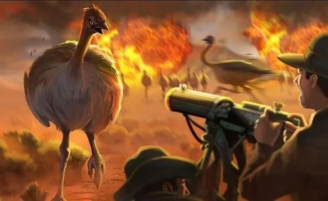 澳洲蝙蝠最大蝙蝠图片 澳大利亚的蝙蝠长啥样有多大