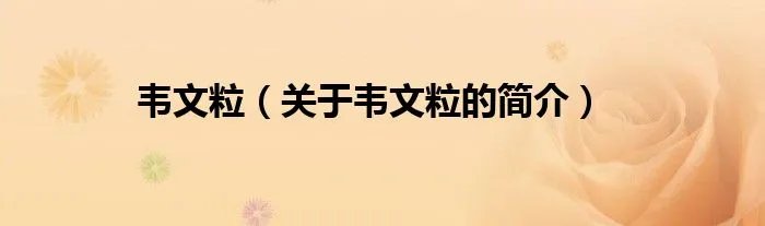 韦文粒（关于韦文粒的简介）