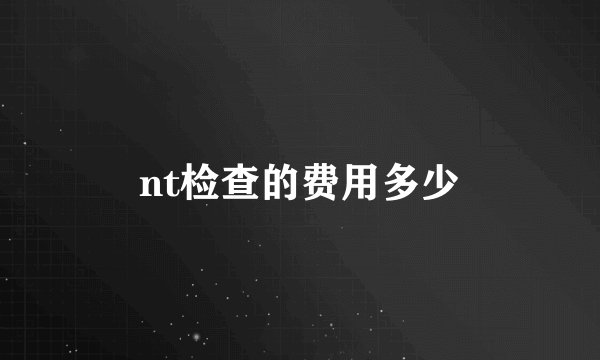 nt检查的费用多少