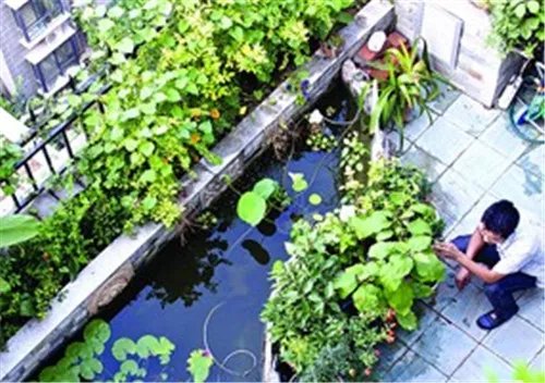 屋顶隔热膜有什么作用 屋顶隔热层居然还能这样做