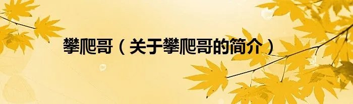 攀爬哥（关于攀爬哥的简介）