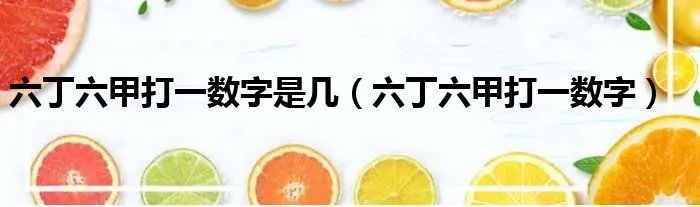 六丁六甲打一数字是几（六丁六甲打一数字）