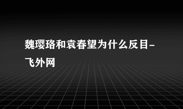 魏璎珞和袁春望为什么反目- 飞外网