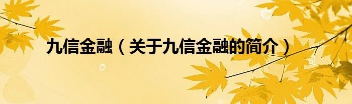 九信金融（关于九信金融的简介）