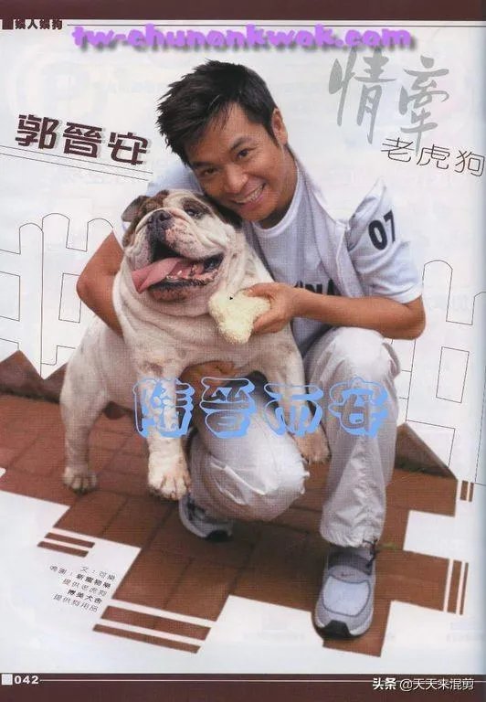 郭晋安拍过哪些电视剧，你最喜欢哪部？如何评价演员郭晋安？