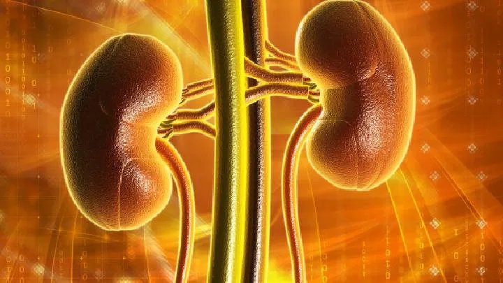 男人补肾的食物有哪些呢