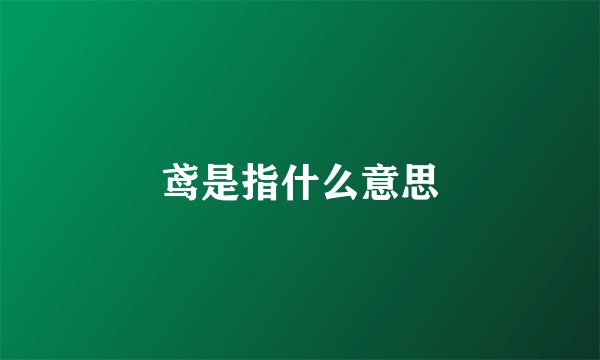 鸢是指什么意思