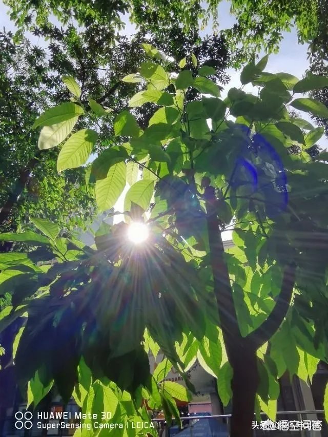 为什么关闭休斯顿总领馆