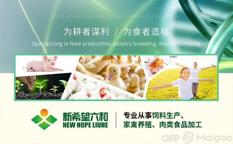 品牌榜：2023年猪饲料十大品牌排行榜 投票结果公布【新】