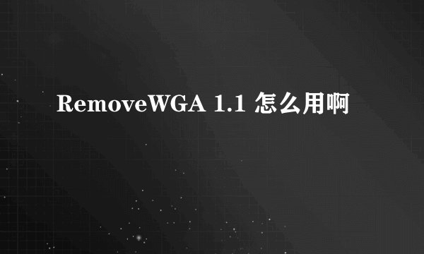 RemoveWGA 1.1 怎么用啊